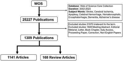 Quantifying the association between stroke and dementia: a bibliometric study